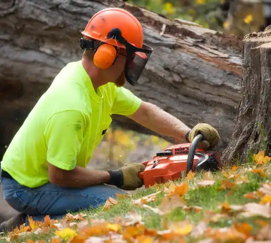 tree services El Cerro